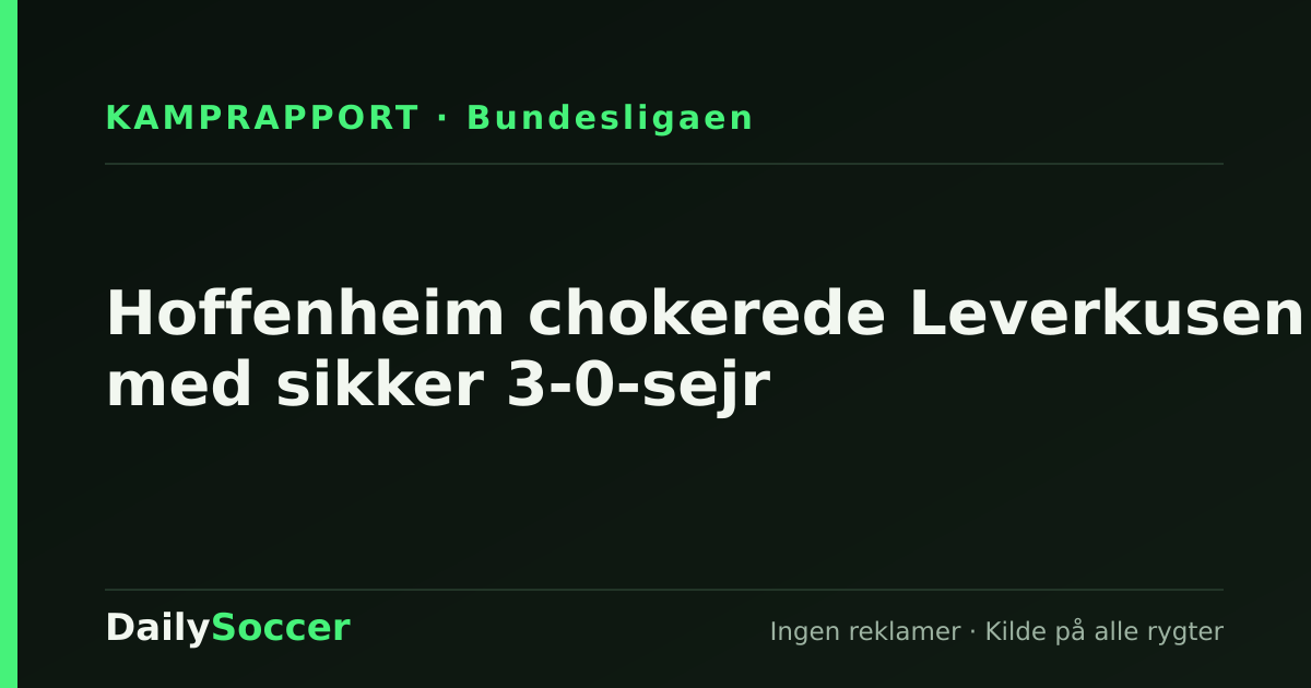 Hoffenheim chokerede Leverkusen med sikker 3-0-sejr — DailySoccer