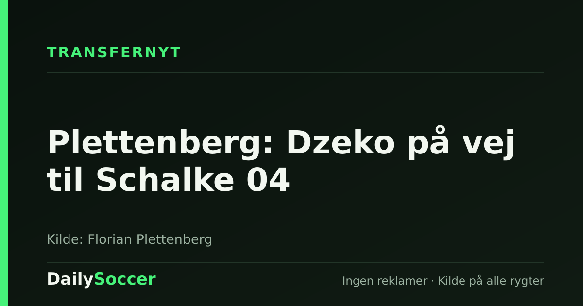 Plettenberg: Dzeko på vej til Schalke 04 — DailySoccer