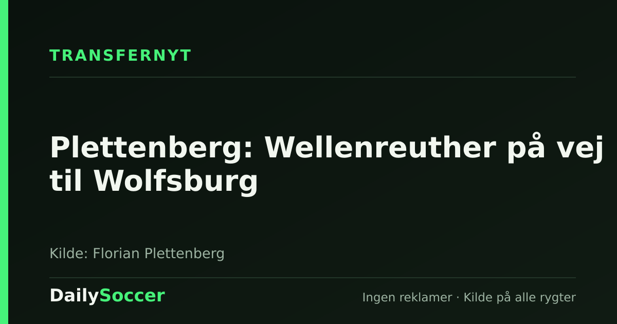 Plettenberg: Wellenreuther på vej til Wolfsburg — DailySoccer