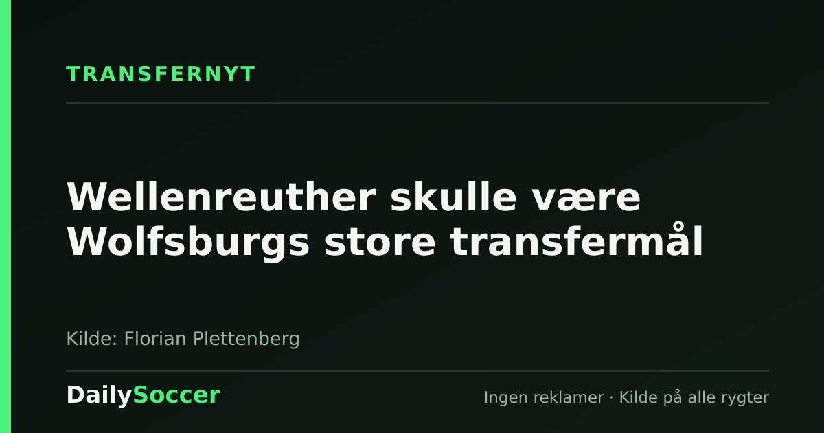 Wellenreuther skulle være Wolfsburgs store transfermål — DailySoccer